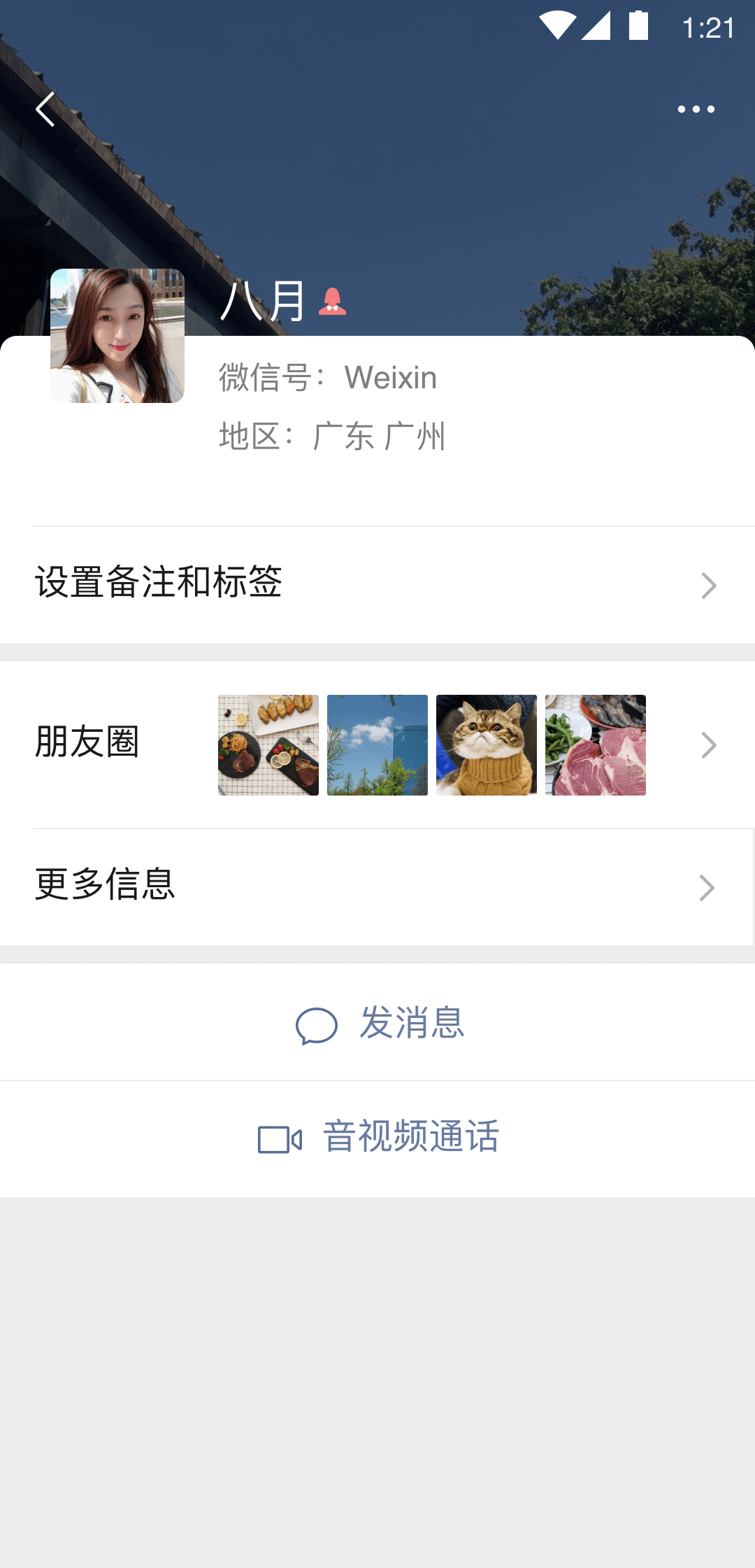 村里的狗半夜一直叫为什么截图